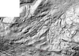 Lidar of RR820 between Raby Castle, Wackerfield & Hummerbeck Lane. Lidar data © DEFRA, image DA